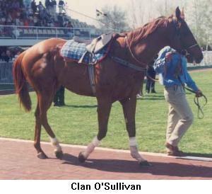 clanosullivan.jpg (17268 bytes)