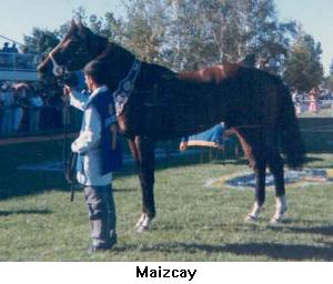 maizcay.jpg (16265 bytes)